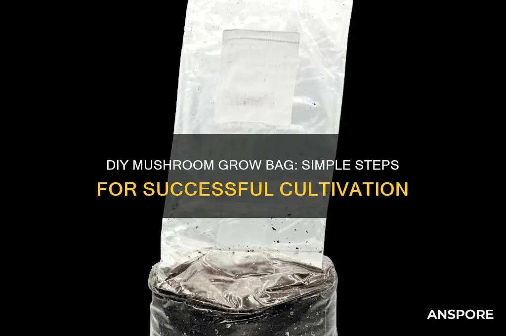 how to make a mushroom grow bag