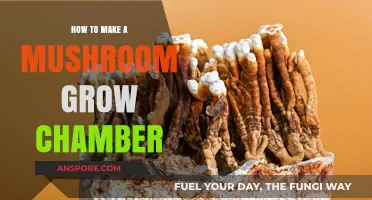 Build Your Own Mushroom Grow Chamber: A Step-by-Step Guide