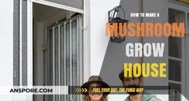 Build Your Own Mushroom Grow House: A Step-by-Step Guide