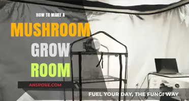 Creating a Perfect Mushroom Grow Room: Step-by-Step Guide