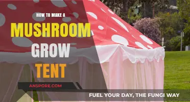 DIY Mushroom Grow Tent Setup: Easy Steps for Successful Cultivation