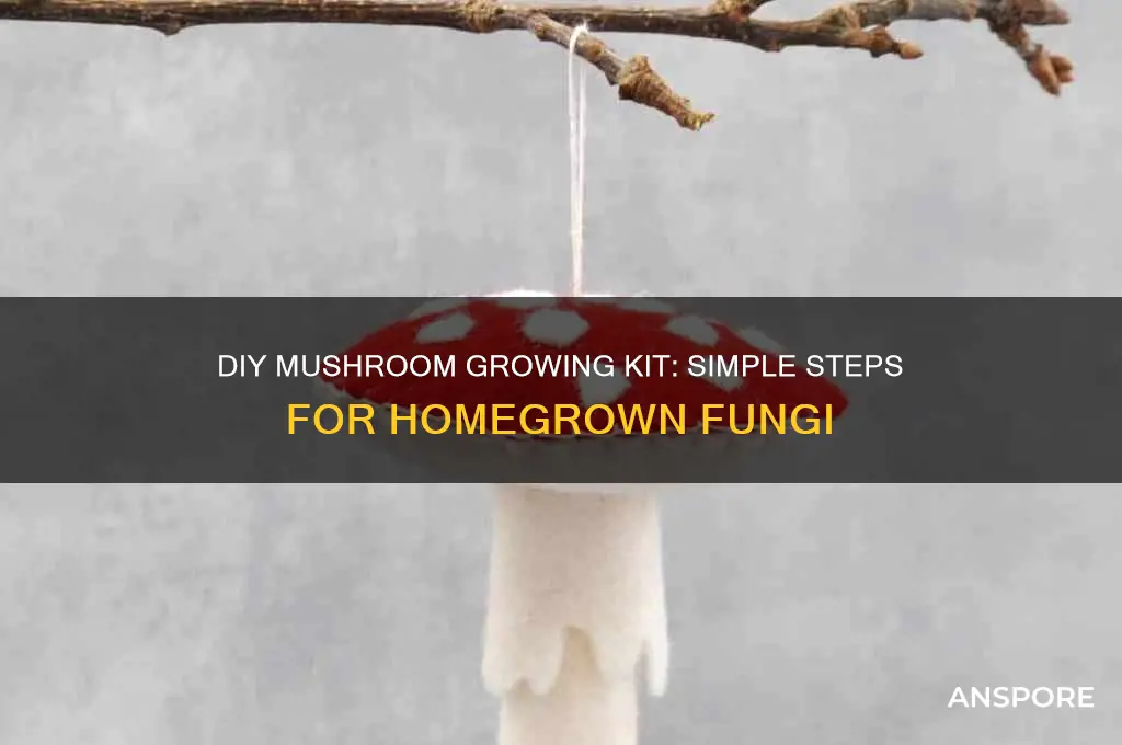 how to make a mushroom growing kit