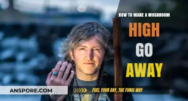 Quick Tips to Safely Ease a Mushroom High Fast