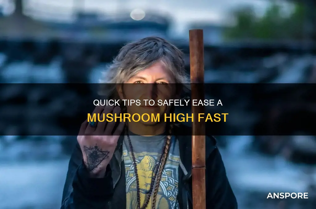how to make a mushroom high go away