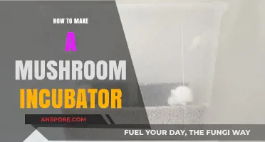 DIY Mushroom Incubator: Step-by-Step Guide for Successful Cultivation