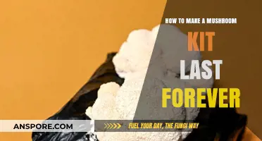 Sustainable Mushroom Harvesting: Tips to Extend Your Kit's Lifespan Indefinitely