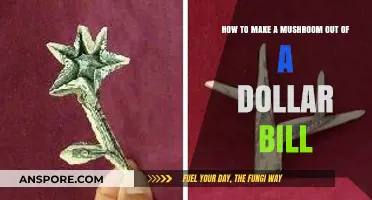 Crafting a Dollar Bill Mushroom: Easy Origami Tutorial for Beginners