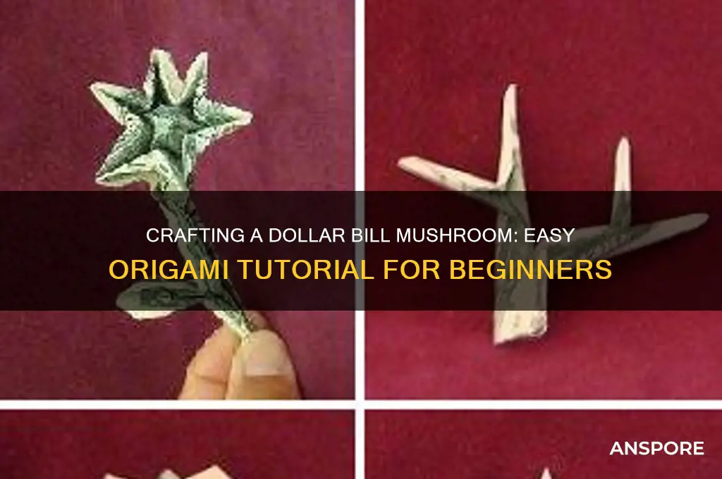 how to make a mushroom out of a dollar bill
