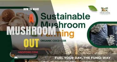 Mastering Mushroom Cultivation: A Step-by-Step Guide to Growing Mushrooms at Home