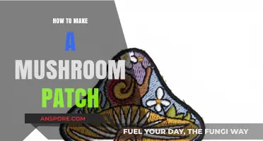 Creating a Thriving Mushroom Patch: Simple Steps for Abundant Harvests