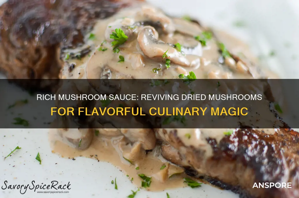 how to make a mushroom sauce with dried mushrooms