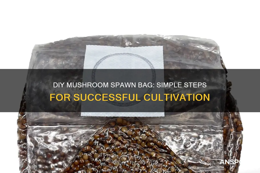 how to make a mushroom spawn bag