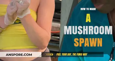 Mastering Mushroom Spawn: A Step-by-Step Guide to Successful Cultivation