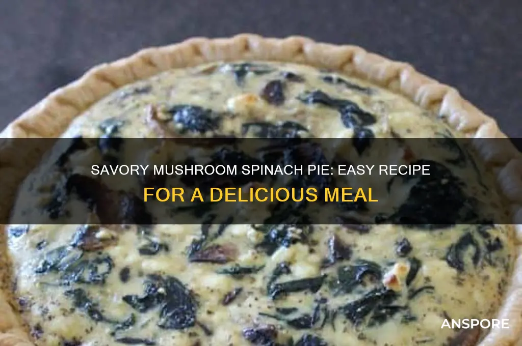 how to make a mushroom spinach pie
