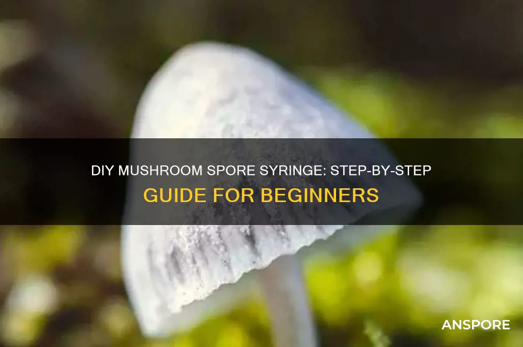 how to make a mushroom spore syringe