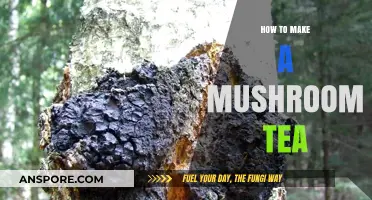 Brewing Bliss: A Simple Guide to Crafting Mushroom Tea