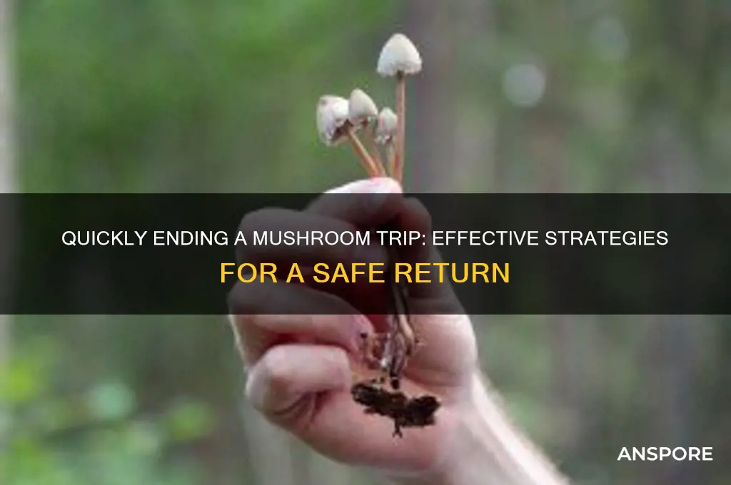 how to make a mushroom trip end