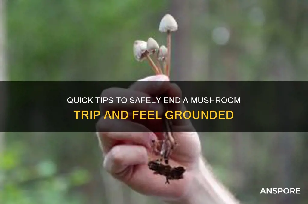 how to make a mushroom trip go away