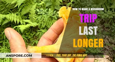 Extend Your Mushroom Journey: Tips for a Longer Psychedelic Experience