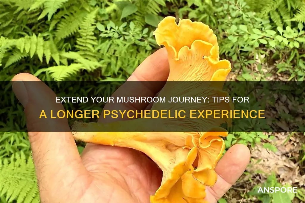 how to make a mushroom trip last longer