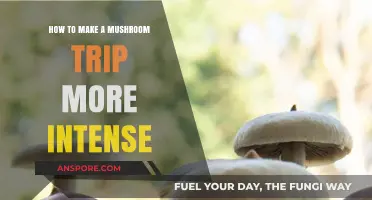 Amplify Your Mushroom Journey: Tips for a Deeper Psychedelic Experience