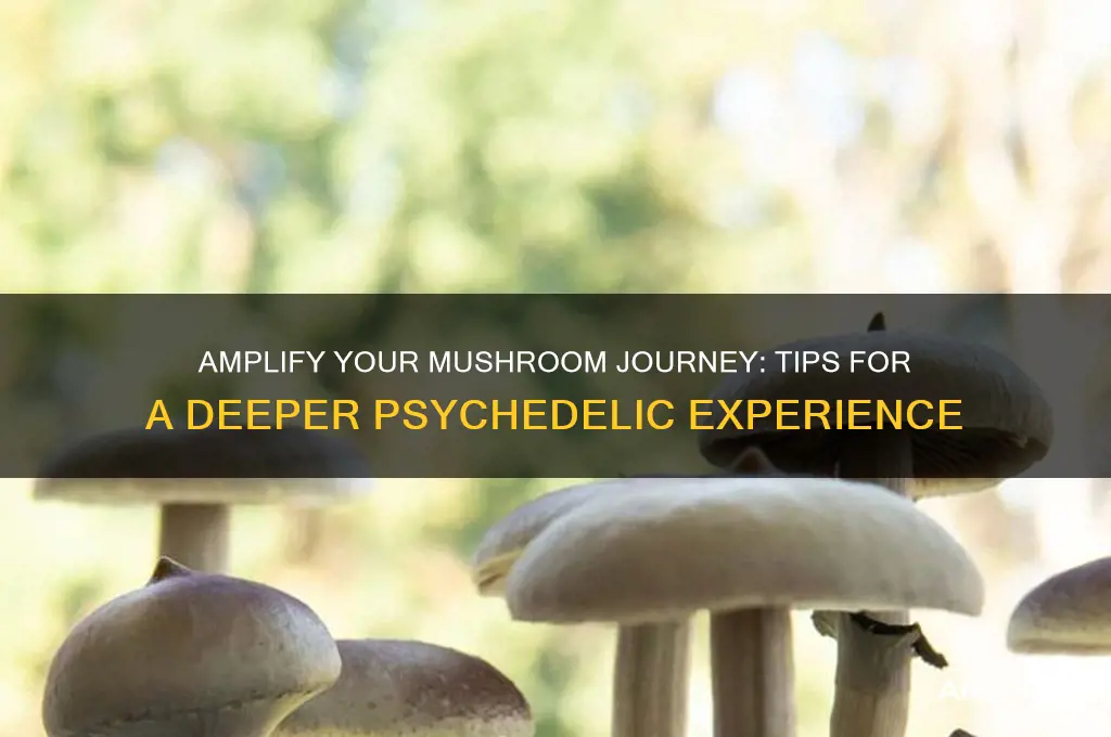 how to make a mushroom trip more intense