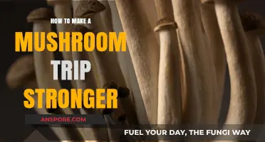 Amplify Your Mushroom Experience: Proven Tips for a Stronger Trip