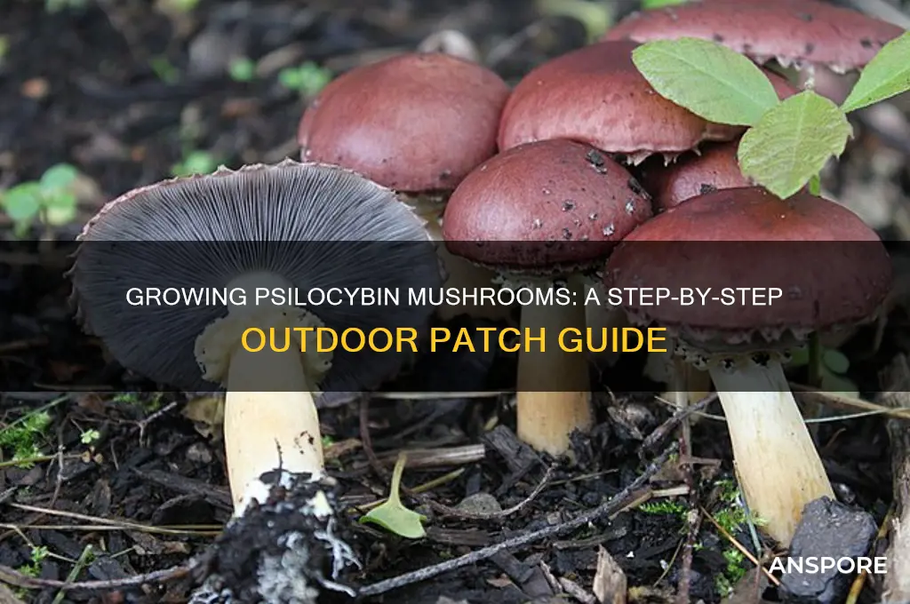 how to make a phiclpician mushroom out door patch