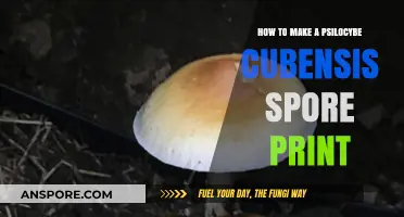 Mastering Psilocybe Cubensis Spore Prints: A Step-by-Step Guide