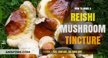 Crafting Reishi Mushroom Tincture: A Simple DIY Wellness Guide