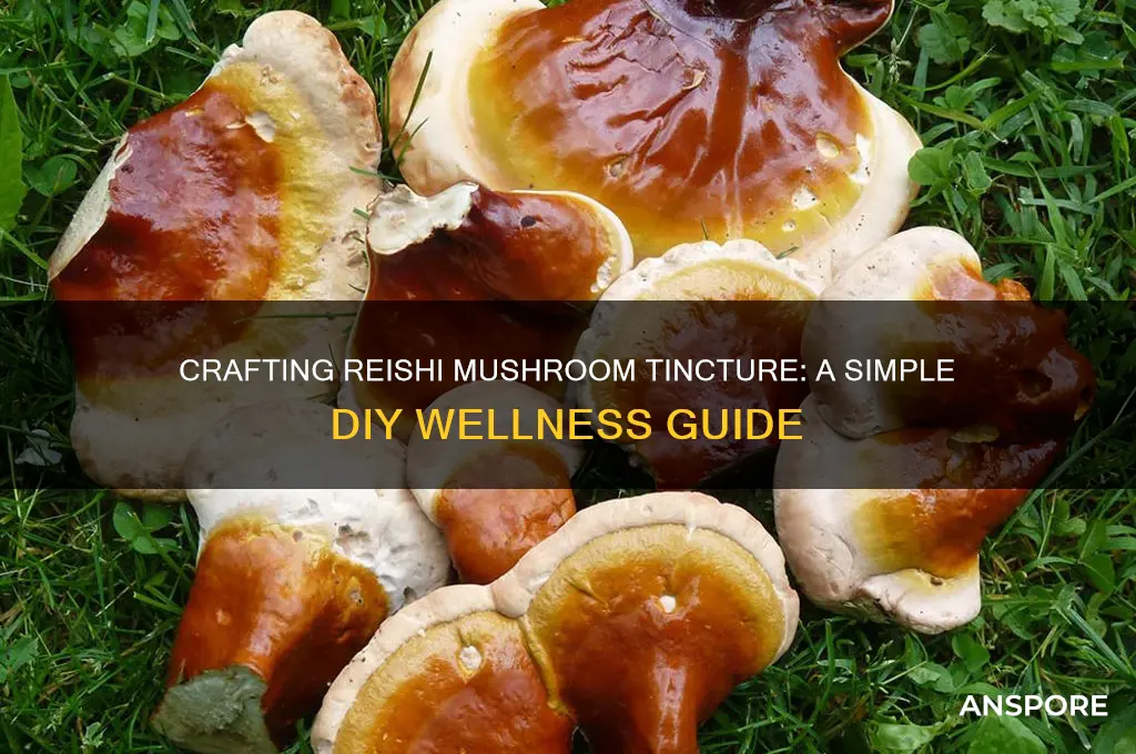 how to make a reishi mushroom tincture