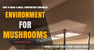 Creating a Compact, Temperature-Controlled Mushroom Growing Environment
