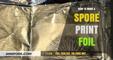 Mastering Spore Print Foil Techniques: A Step-by-Step Guide for Beginners