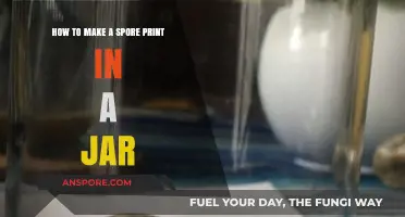 Easy Jar Spore Print Guide: Capture Mushroom Spores at Home