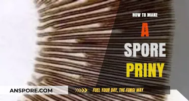 Crafting a Spore Print: Simple Steps for Accurate Fungal Identification