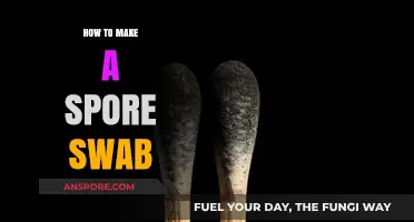 Mastering Spore Swab Techniques: A Step-by-Step Guide for Beginners