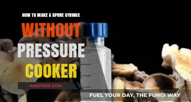 DIY Spore Syringe: Simple Sterilization Methods Without a Pressure Cooker