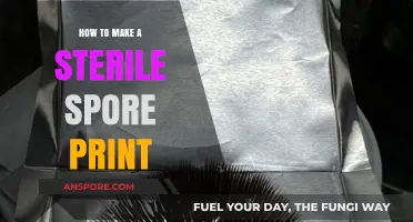 Mastering Sterile Spore Prints: A Step-by-Step Guide for Success