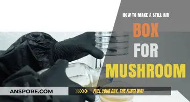 DIY Still Air Box: Essential Steps for Growing Mushrooms at Home