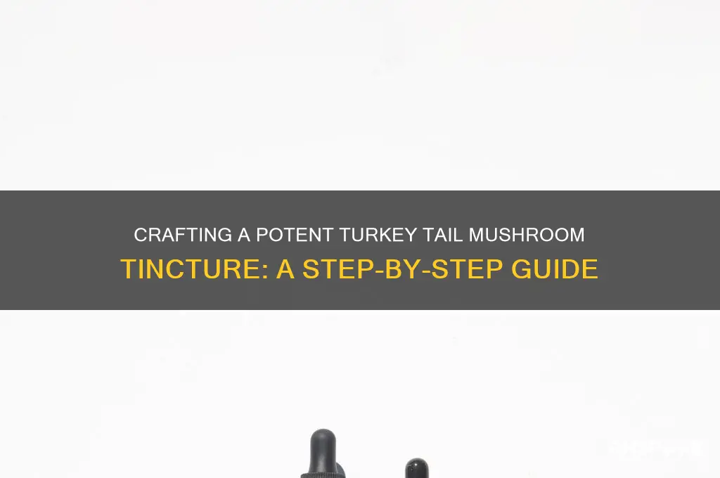 how to make a turkey tail mushroom tincture