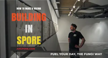 Crafting a Unique Vagina-Inspired Structure in Spore: A Creative Guide