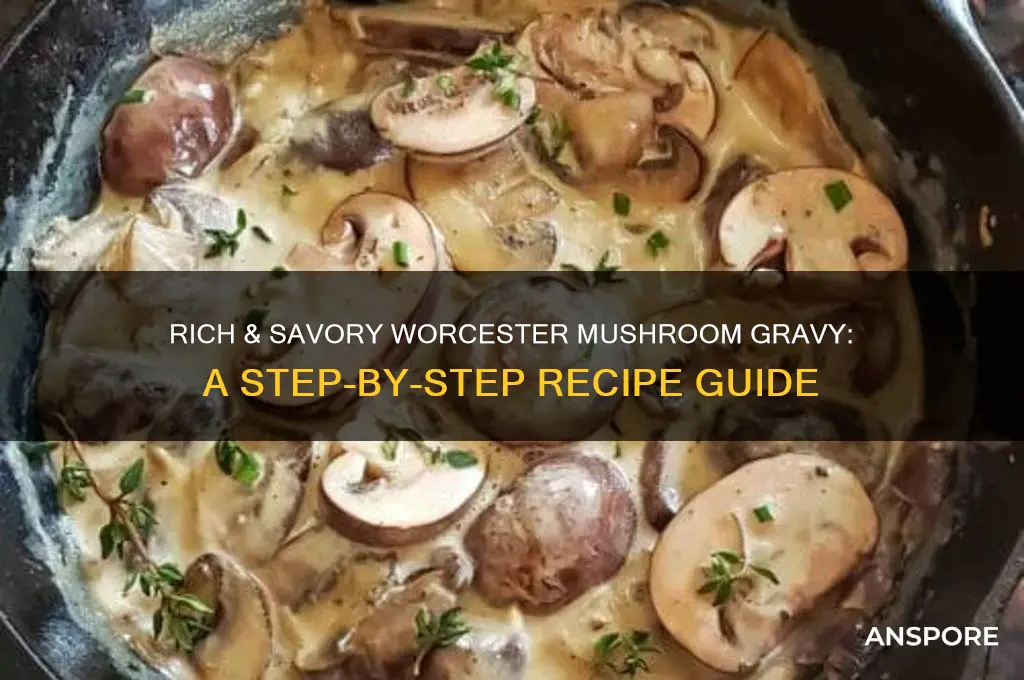 how to make a worcester mushroom gravy