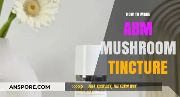 Crafting ABM Mushroom Tincture: A Step-by-Step Guide for Beginners