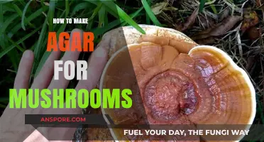 Mastering Mushroom Cultivation: A Step-by-Step Guide to Making Agar