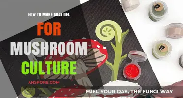 Mastering Agar Gel Preparation for Successful Mushroom Cultivation Techniques