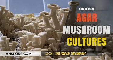 Mastering Agar Mushroom Cultures: A Step-by-Step Guide for Beginners
