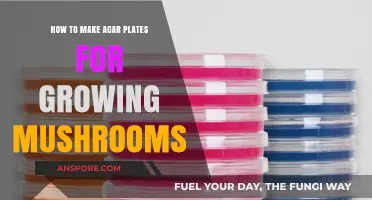 Mastering Mushroom Cultivation: A Step-by-Step Guide to Making Agar Plates