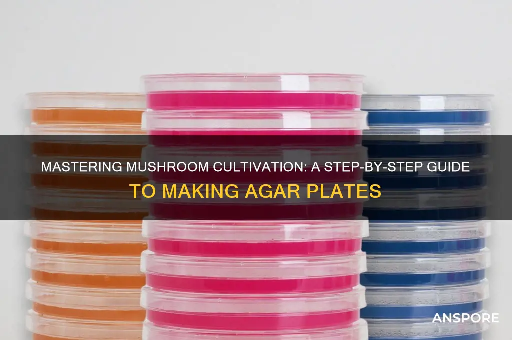 how to make agar plates for growing mushrooms