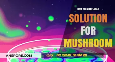 Mastering Mushroom Cultivation: A Step-by-Step Guide to Making Agar Solution