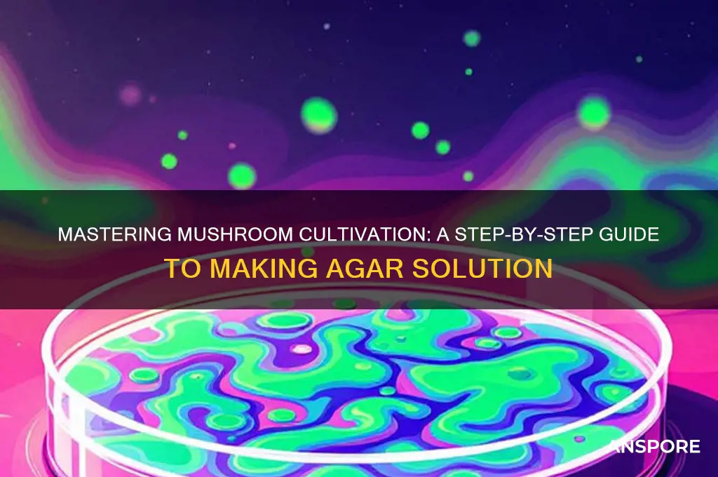 how to make agar solution for mushrooms